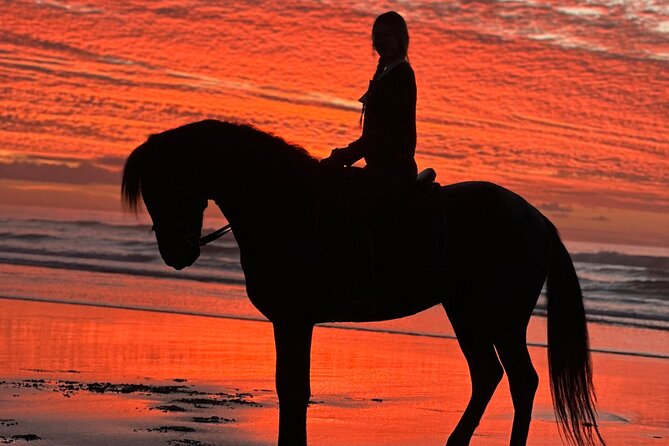 Horseback riding at sunset (2 hours) - Sunset horseback in Essaouira: what makes it special
