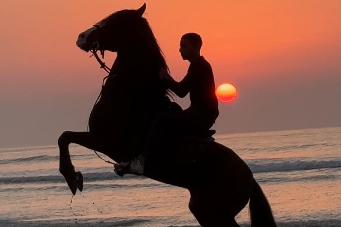 Horseback riding at sunset (2 hours) - The ride itself: walking the Atlantic beach at sunset
