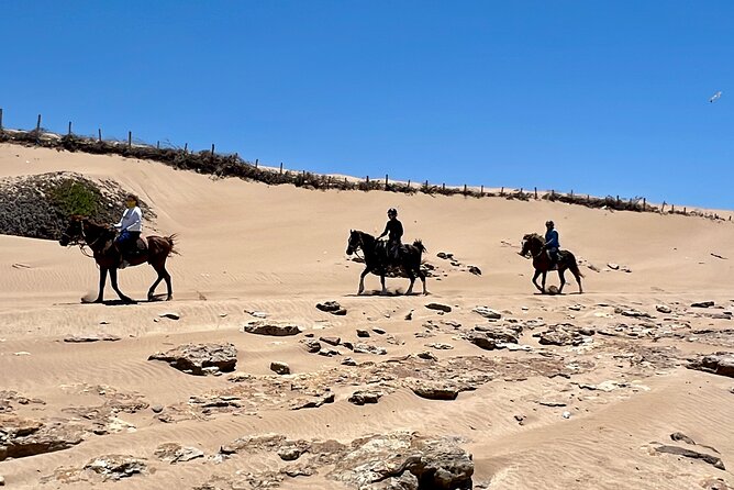 Horseback Riding On The Beach Of Essaouira - Price and value: what $21.14 buys you in the real world