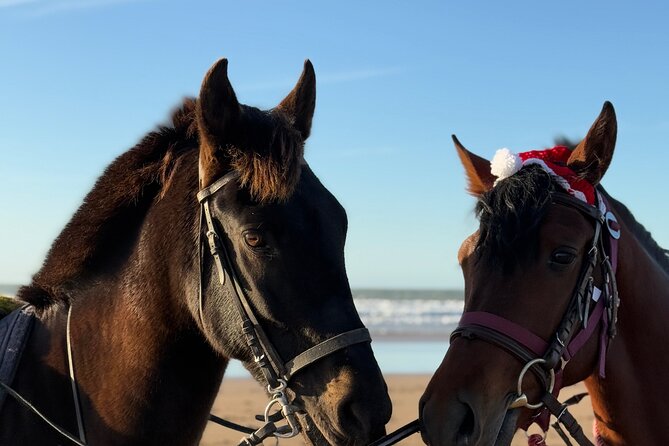 Horseback Riding On The Beach Of Essaouira - Day ride vs sunset ride: picking the mood that fits you