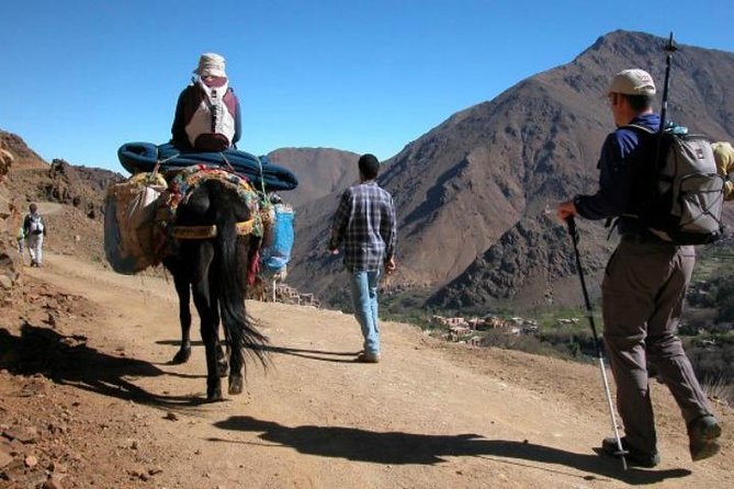 Imlil and Atlas Mountains Day Trip from Marrakech - Morning Drive Through the Atlas Foothills