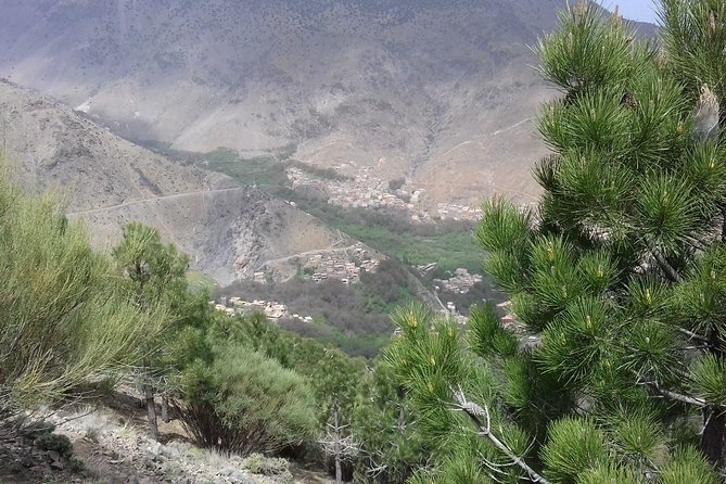 Imlil Day Trip from Marrakech - Who should book this Imlil day trip (and who might not)