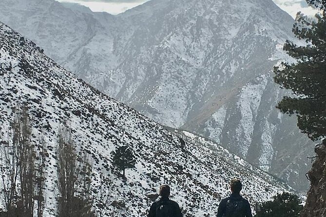 Imlil Escape: Atlas Mountains Day Trip & Homely Lunch - The Trek to Armed: Valley Walks, Village Life, and Toubkal From Below