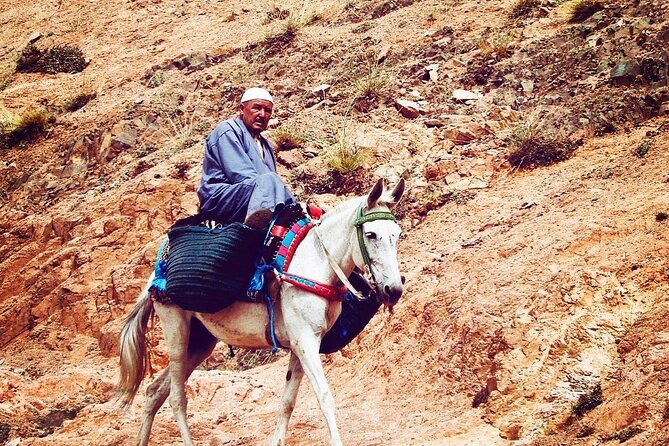 Imlil Village and Mount Toubkal Tour from Marrakech - Ait-Souka Lunch in a Berber Home, Not a Restaurant Conveyor Belt