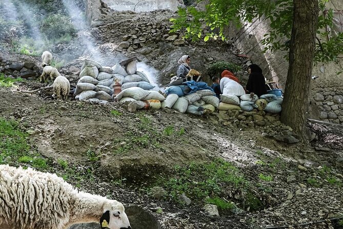 Imlil Waterfalls Day Tour from Marrakech – Nature & Local Culture - Getting out of Marrakech: the 9:00 start and how you’ll travel
