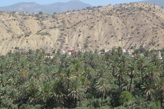 Imouzzer high Atlas mountains Tour from Agadir - Guide Quality and Group Size: Small Enough to Feel Human