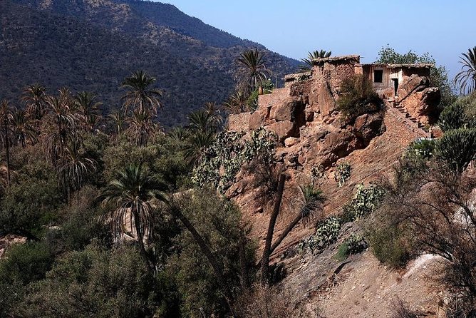 Imouzzer high Atlas mountains Tour from Agadir - Price and Logistics: Is This Around $52 Worth It?