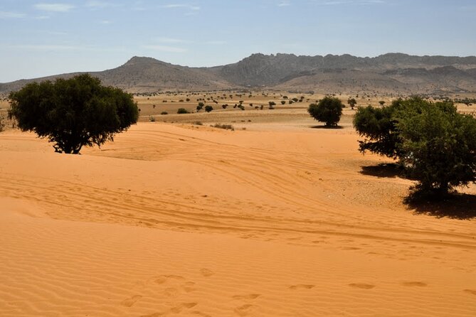 Jeep 4x4 Safari Atlantic Ocean & Desert Dunes with Berber Lunch - Key Things I’d Watch Before You Go
