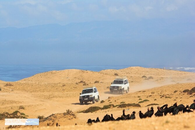 Jeep 4x4 Safari Atlantic Ocean & Desert Dunes with Berber Lunch - Tiznit Silver Jewelry Time: A Market Stop Worth Browsing