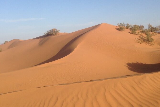 Jeep Tour to Mini Sahara With Lunch Small group - Key highlights you’ll actually care about