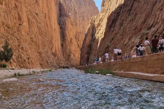 LET'S GO Tour MARRAKECH to DESERT TO FES 3 Days - Price and Value: Is $181.99 a Good Deal for 3 Days?