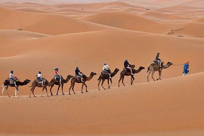 Luxury 2-Days Desert Trip from Fes to.:( fes or marakech) - Fez to Erg Chebbi: why the long drive is part of the experience