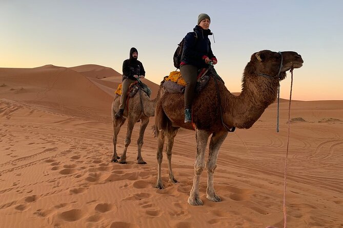 Luxury 2-Days Desert Trip from Fes to.:( fes or marakech) - Camp arrival for sunset: dinner, Berber music, and the night sky