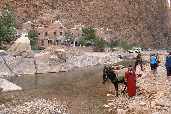 luxury 3 Days 2 Nights Desert Tour from Fez to Marrakesh - Price and small-group reality: $290.79 per person makes sense if logistics cooperate