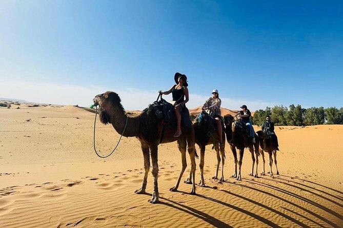 luxury 3 Days 2 Nights Desert Tour from Fez to Marrakesh - Day 1: Ifrane and Azrou cedars, then Erg Chebbi camel sunset