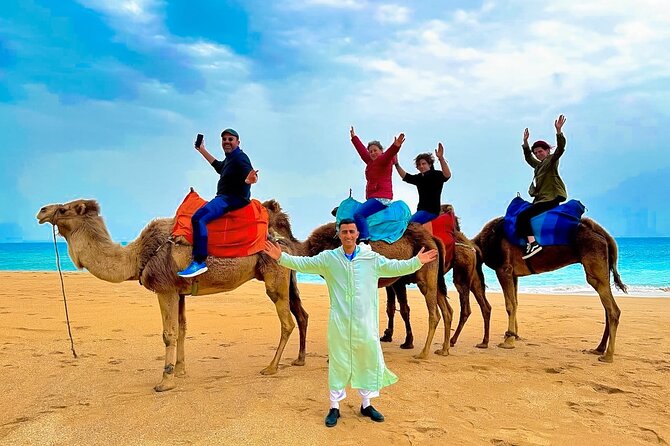 Luxury day in Tangier from Tarifa including ferry & camel ride …. - Key Highlights You’ll Actually Feel on This Day Trip