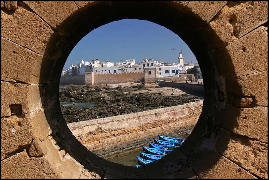 Luxury day trip to Essaouira from Marrakech - Argan tree goats and the women’s cooperative stop