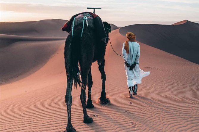 LUXURY Desert Camp: 3 Days Marrakech to Merzouga and Camel Trek - Ouarzazate Studio: Optional, and Priced Separately