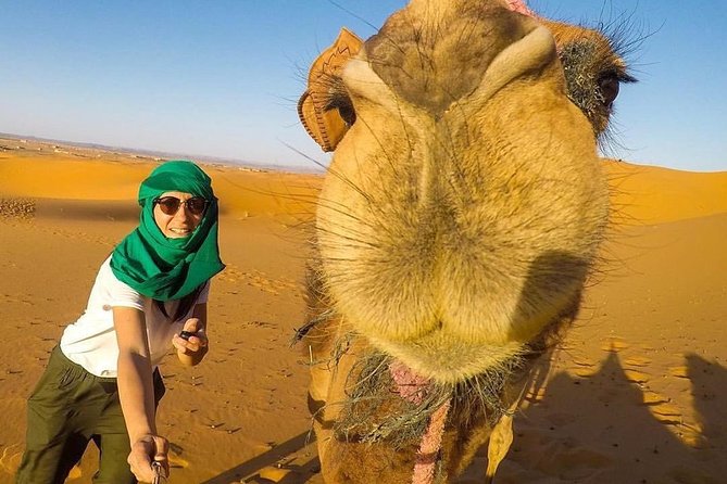 LUXURY Desert Camp: 3 Days Marrakech to Merzouga and Camel Trek - Ait Ben Haddou: Time to Walk, Not Just Look