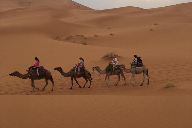 Luxury Merzouga Camp - Inside the luxury tent: comfort that actually matters at night