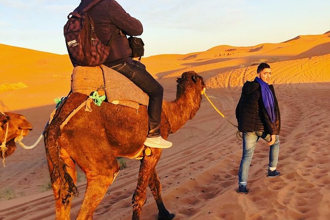 Luxury Overnight Sahara Desert trip fez Back to Fez or Marrakech - Sunrise in the dunes: why early morning is worth it