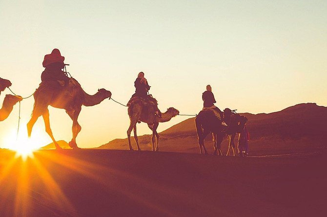 Luxury Overnight Sahara Desert trip fez Back to Fez or Marrakech - Meals on the trip: dinner and breakfast are included, lunch is on you