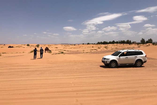 Luxury Private 4-Day Camel Trekking and Kasbah Trail from Marrakech - Day 4: Ourika Valley photo stops, Telouet kasbah visit, then the return via Tizi n Tichka