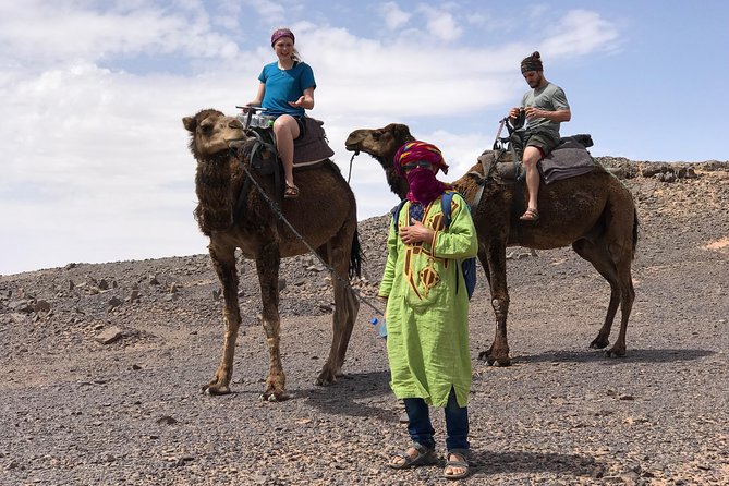 Luxury Private 4-Day Camel Trekking and Kasbah Trail from Marrakech - Price and logistics: what you’re really paying for
