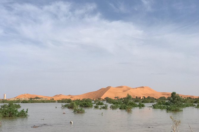 Luxury Private 4-Day Camel Trekking and Kasbah Trail from Marrakech - Day 3: Draa Valley panoramas near Agdz, Anti-Atlas pass, and Ouarzazate riad time