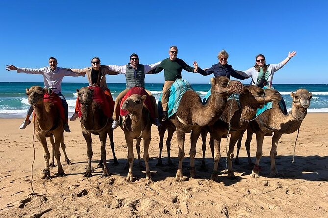 Luxury Private 4Hour Tour of Tangier - Achakkar Beach and the camel ride by the Atlantic