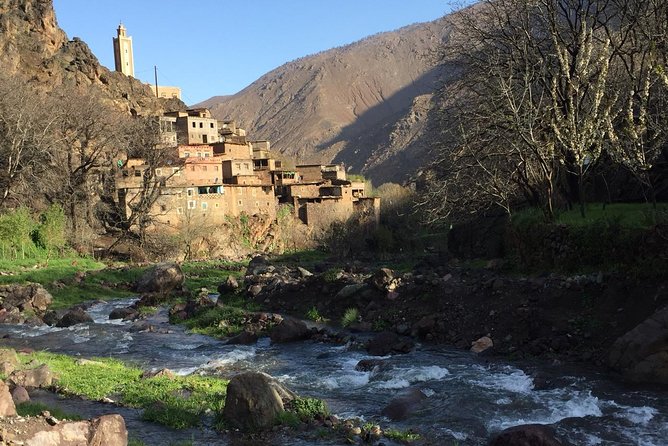 Luxury private day trip - Atlas Mountains, Agafay Desert & camels - Berber Village Photo Stop and the Argan Cooperative Taste Test