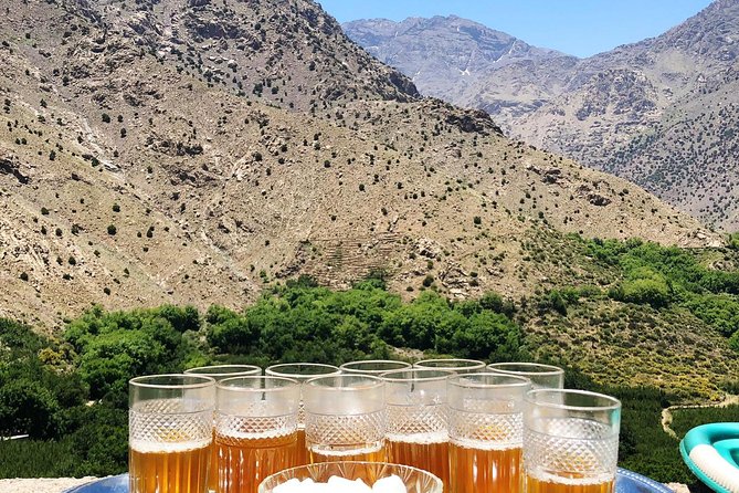 Luxury private day trip - Atlas Mountains, Agafay Desert & camels - Who This Private Atlas and Agafay Day Trip Fits Best