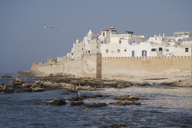 Luxury Private Full Day Trip To Essaouira - Key Points You’ll Care About