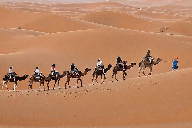 Luxury Sahara Desert From Fez back to fez or marrakech overnight - Day 2: the return loop through Merzouga and back past Ifrane and Midelt