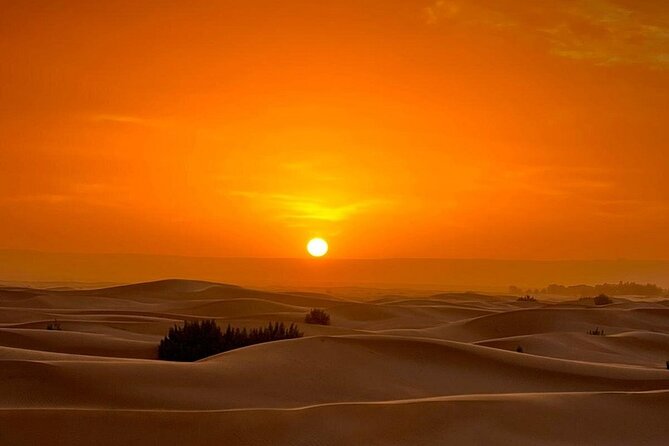 Luxury Sahara Desert From Fez back to fez or marrakech overnight - What you’ll actually do at each stop (and what you might wish was longer)
