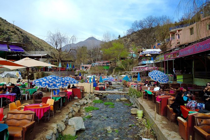 Magical Agafay Sunset Dinner Camel Ride - Who should book this Agafay sunset dinner camel ride?