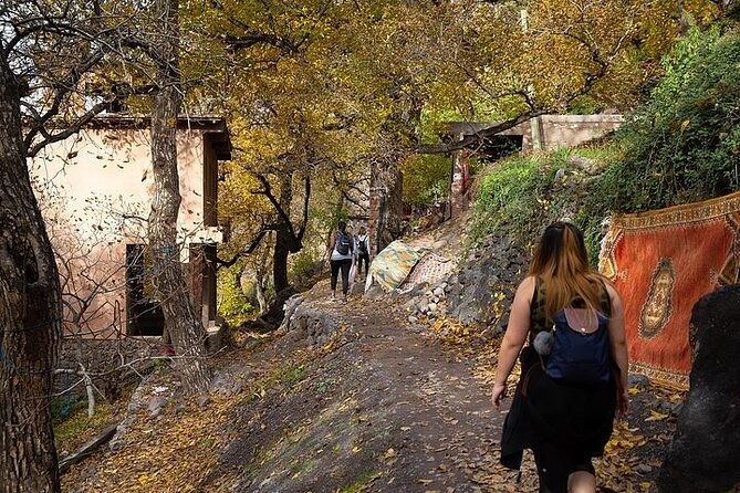 Magical Atlas Day Trip: Camel Ride, imlil Valley & Berber Lunch - Imlil Village and the Valley Hike: Easy Options, Real Working Hills