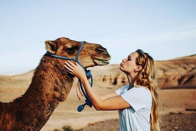 Magical Dinner In Agafay Desert & Sunset Experience From Marrakech - Logistics you should plan for before you go