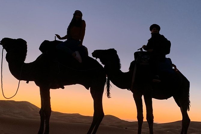Magical dinner in Agafay desert Sunset with camel Ride - Key things you’ll notice right away
