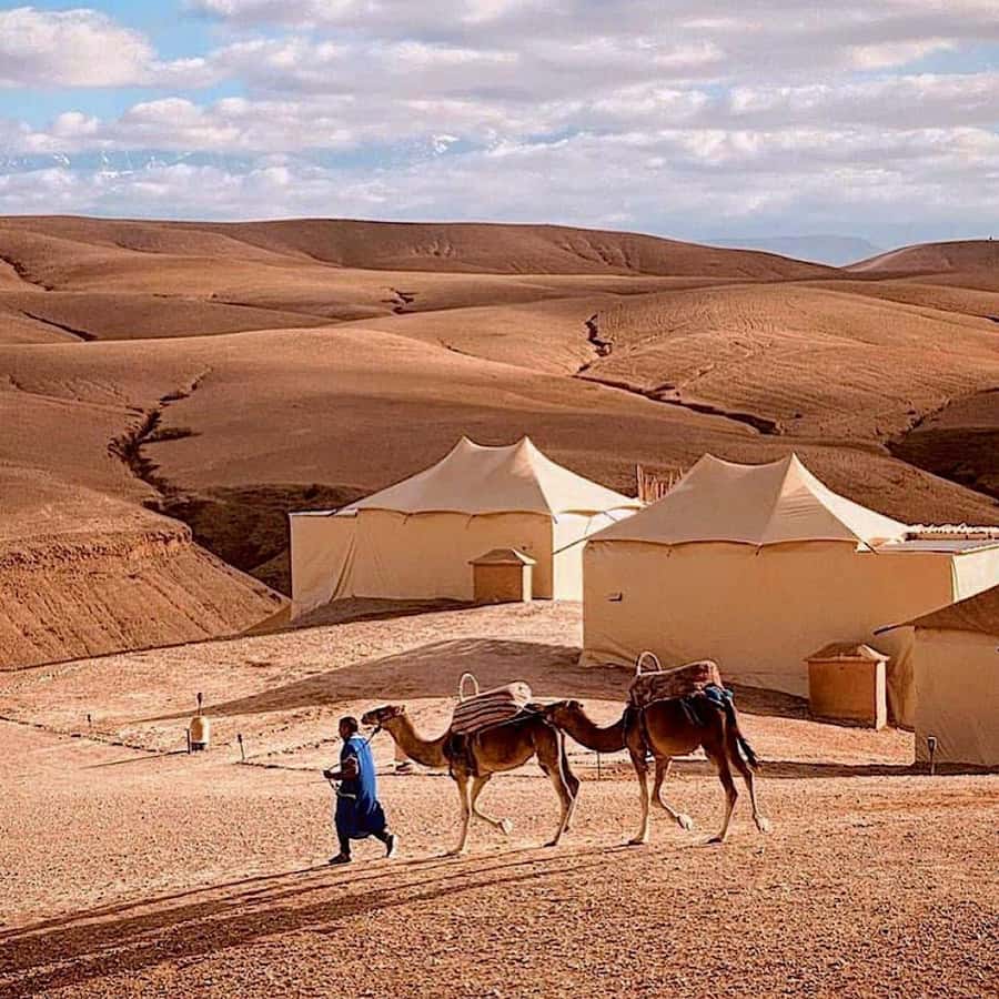 Magical Dinner In Agafay Desert Under the Stars & Camel rid - Why Agafay Desert Works When You Don’t Want the Sahara