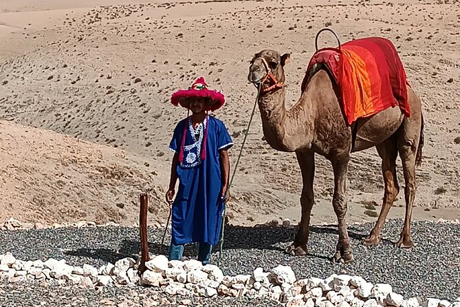 Magical dinner show and camel ride & Quad Bike in Agafay desert - Camel ride across Agafay: calm pace, big views