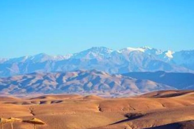 Magical Dinner show and Quad bike In Agafay Desert Marrakech - Timing and Logistics: The One Thing to Double-Check