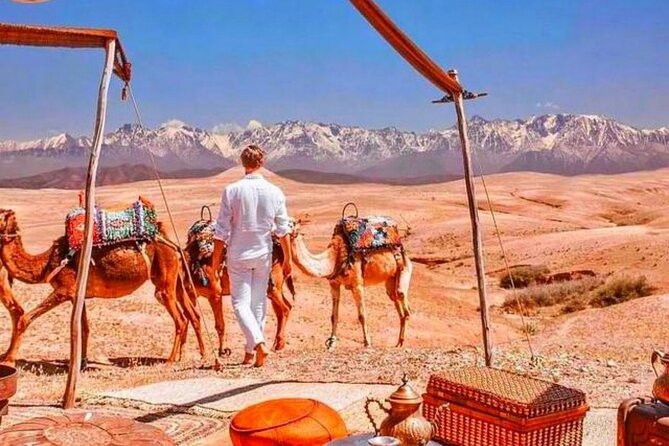 Magical Dinner show and Quad bike In Agafay Desert Marrakech - The Argán Oil Cooperative Stop: A Worthwhile Detour Before Dinner