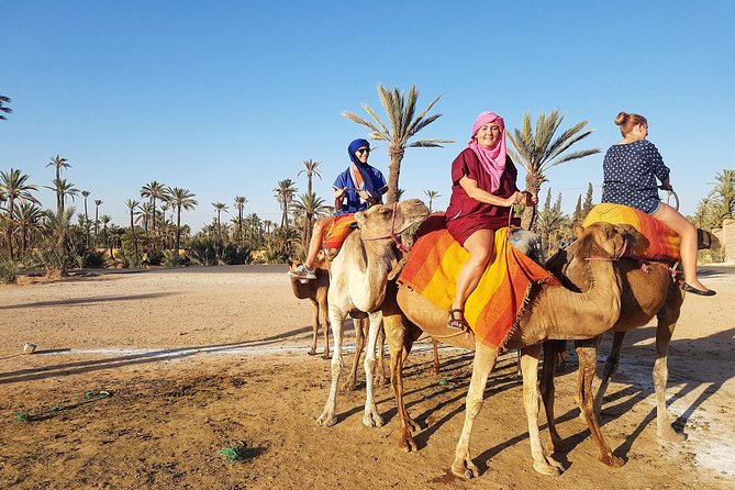 Majorelle Garden and Camel Ride Tour from Marrakech - Tea, snacks, and mint tea timing: when it feels best