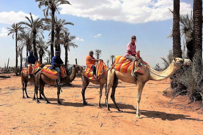 Majorelle Garden and Camel Ride Tour from Marrakech - Small-group travel in Marrakech: why max 8 changes the vibe