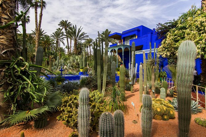 Majorelle Garden and Camel Ride Tour from Marrakech - Camel ride through palm oasis: what the one-hour format really gives you
