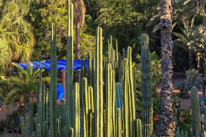 Majorelle Garden, St Laurent and Berber Museum Round Trip Ticket - How long 1 to 3 hours actually feels on the ground