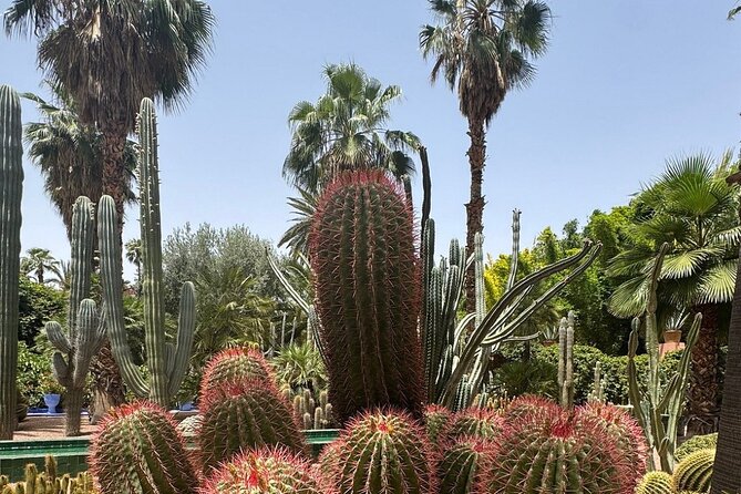 Majorelle Garden, St Laurent and Berber Museum Round Trip Ticket - On your own vs. upgrading to a private guide