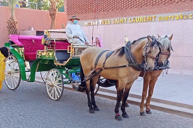 Majorelle-Menara garden & the Yves Saint Laurent museum Horse carriage tours - Menara Garden and Pavilion: panoramic photos in about 30 minutes