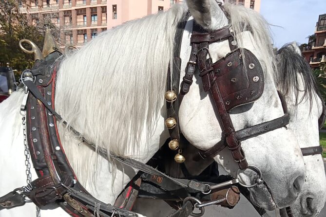 Majorelle-Menara garden & the Yves Saint Laurent museum Horse carriage tours - Price and value: $175.71 for up to five, plus admission